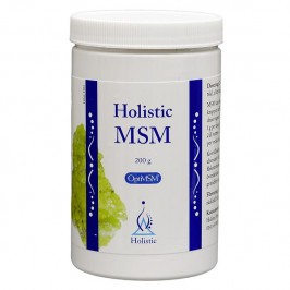 MSM 200 g Holistic