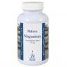 Magnesium 120 mg 100 kapslar Holistic